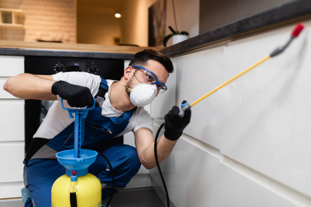 Best Local Pest Control Services  in Port Monmouth, NJ