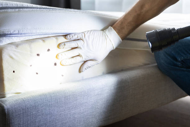 Best Emergency Pest Control  in Port Monmouth, NJ