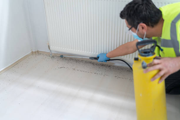 Best Pest Control Near Me in Port Monmouth, NJ